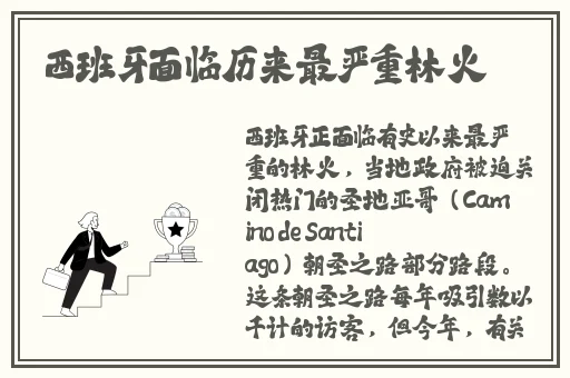 **乱p网